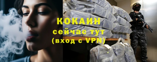 дживик Абаза