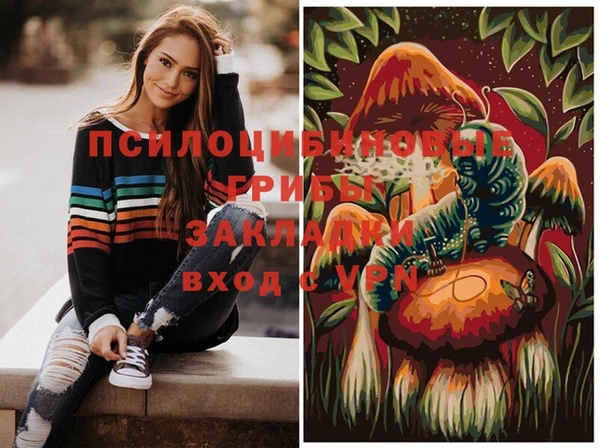 амф Абинск