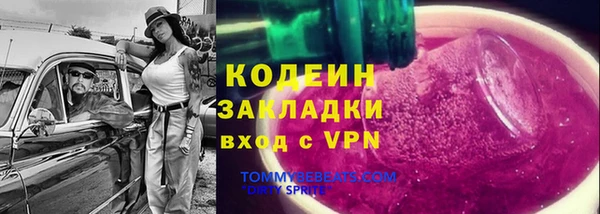 дживик Абаза