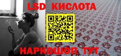 стафф Камышлов