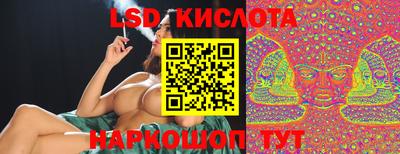 стафф Камышлов