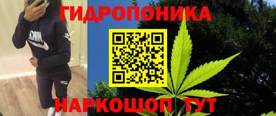 прущая мука Кандалакша