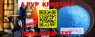стафф Камышлов