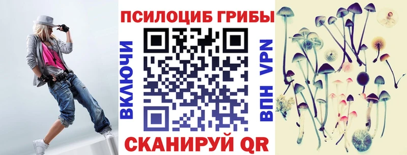 Псилоцибиновые грибы Psilocybine cubensis  Саратов 